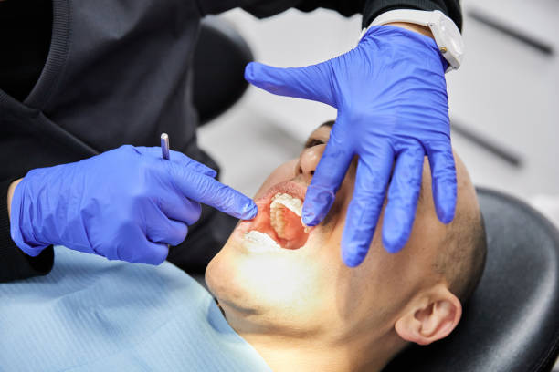 Best Mobile Emergency Dentist in Holland, MI