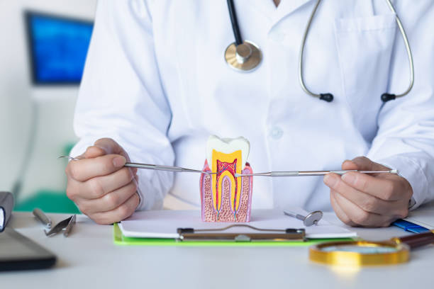 Best Emergency Dentist for Knocked-Out Tooth in Holland, MI
